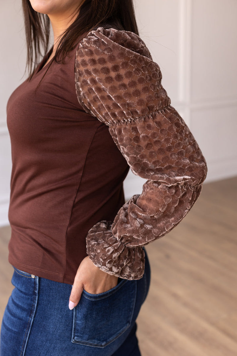 Brown Top With Velvet Burnout Sleeves