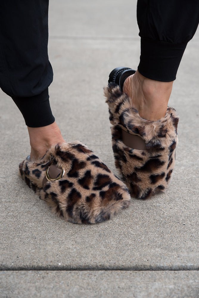 Get Cozy Slippers