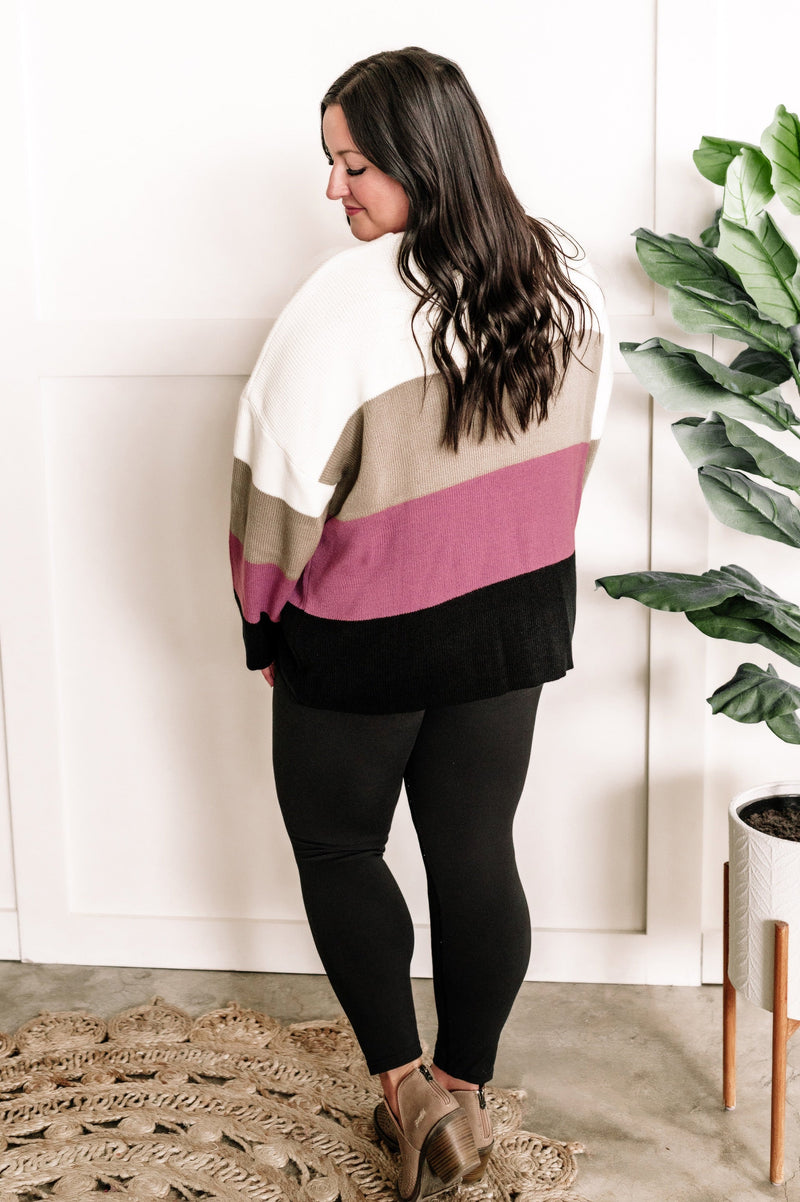 Ivory, Mocha, Berry, & Black Cozy Color Block Sweater